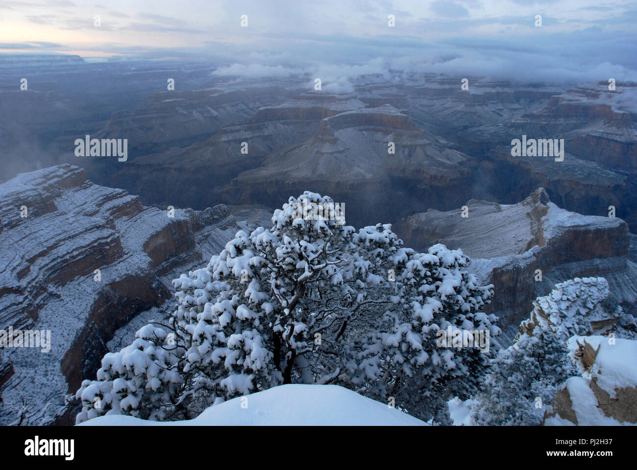Snow covers the landscape at dusk at the Maricopa Point overlook on the South Rim at Grand Canyon National Park in Arizona. Stock Photo