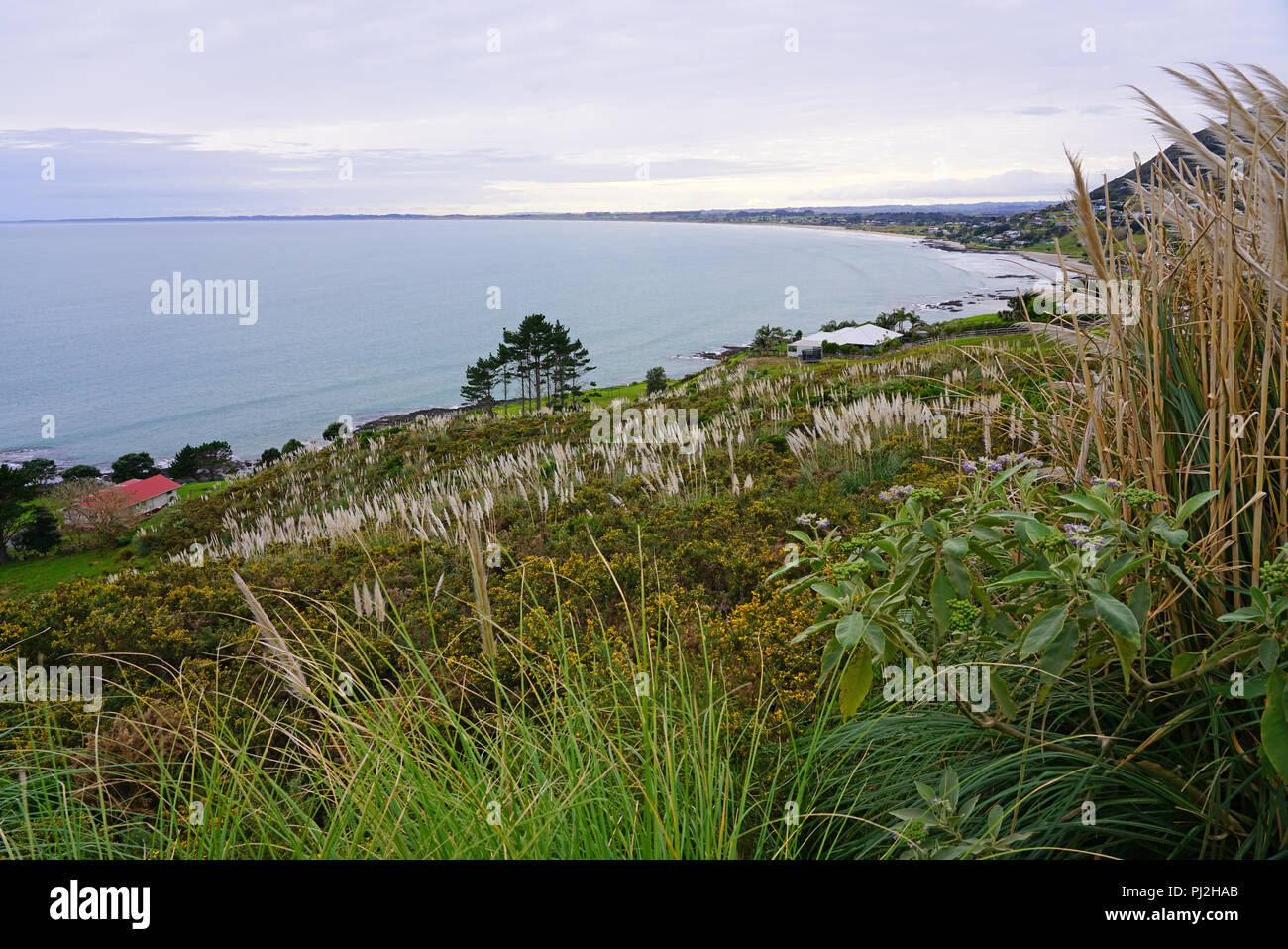 View of Ahipara and the Ninety Mile Beach, near Kaitaia in Northland, New Zealand. Stock Photo
