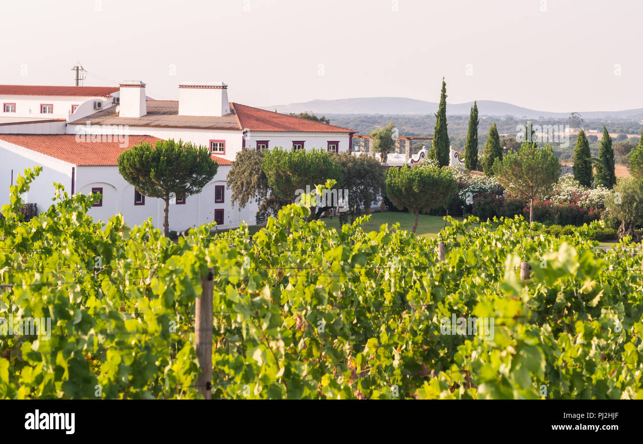 ESTREMOZ, PORTUGAL – AUGUST 22, 2018 Herdade das Servas winery close to Estremoz, Evora distric, Portugal. Stock Photo