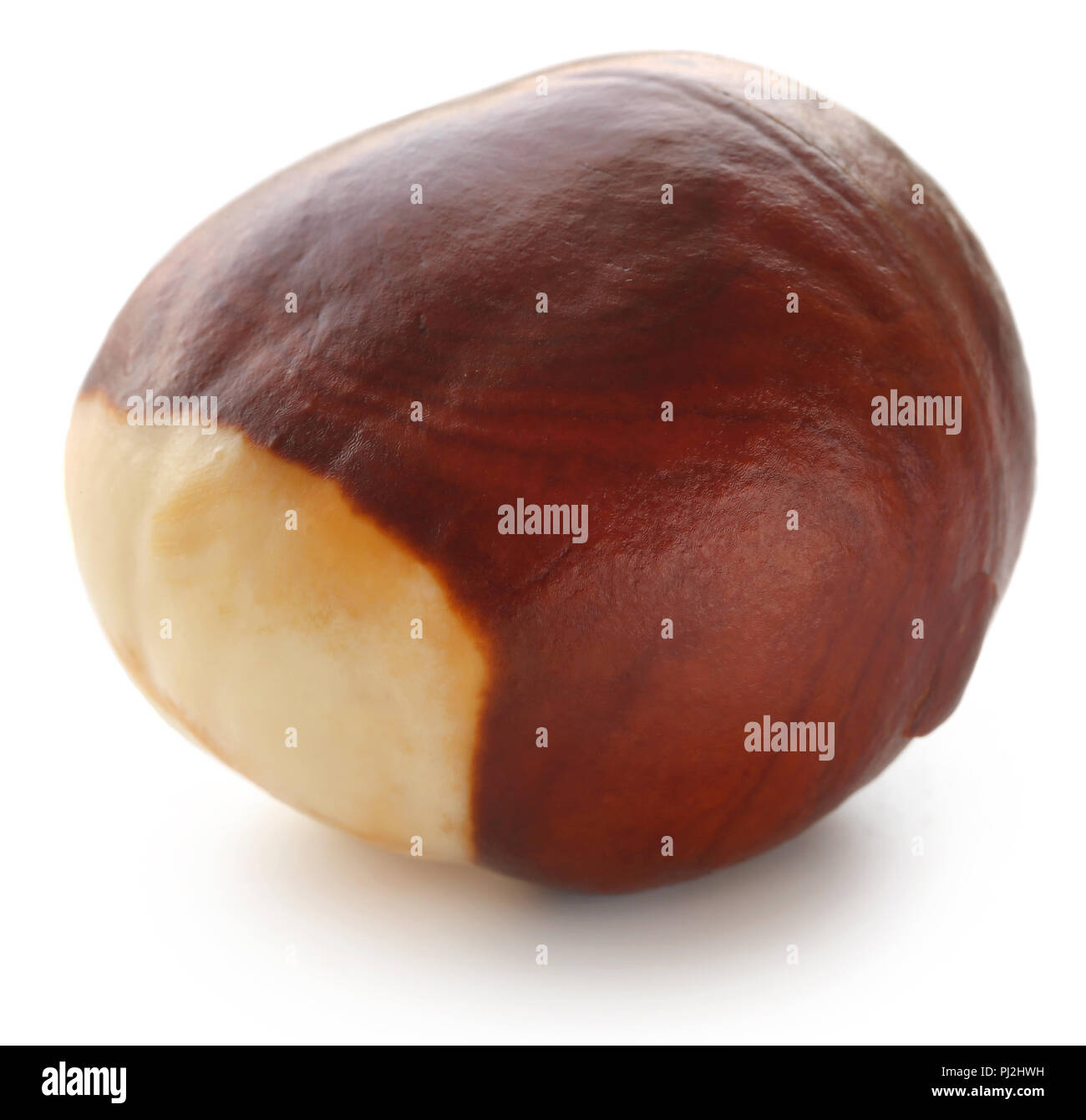 Chestnut with skin hires stock photography and images Alamy