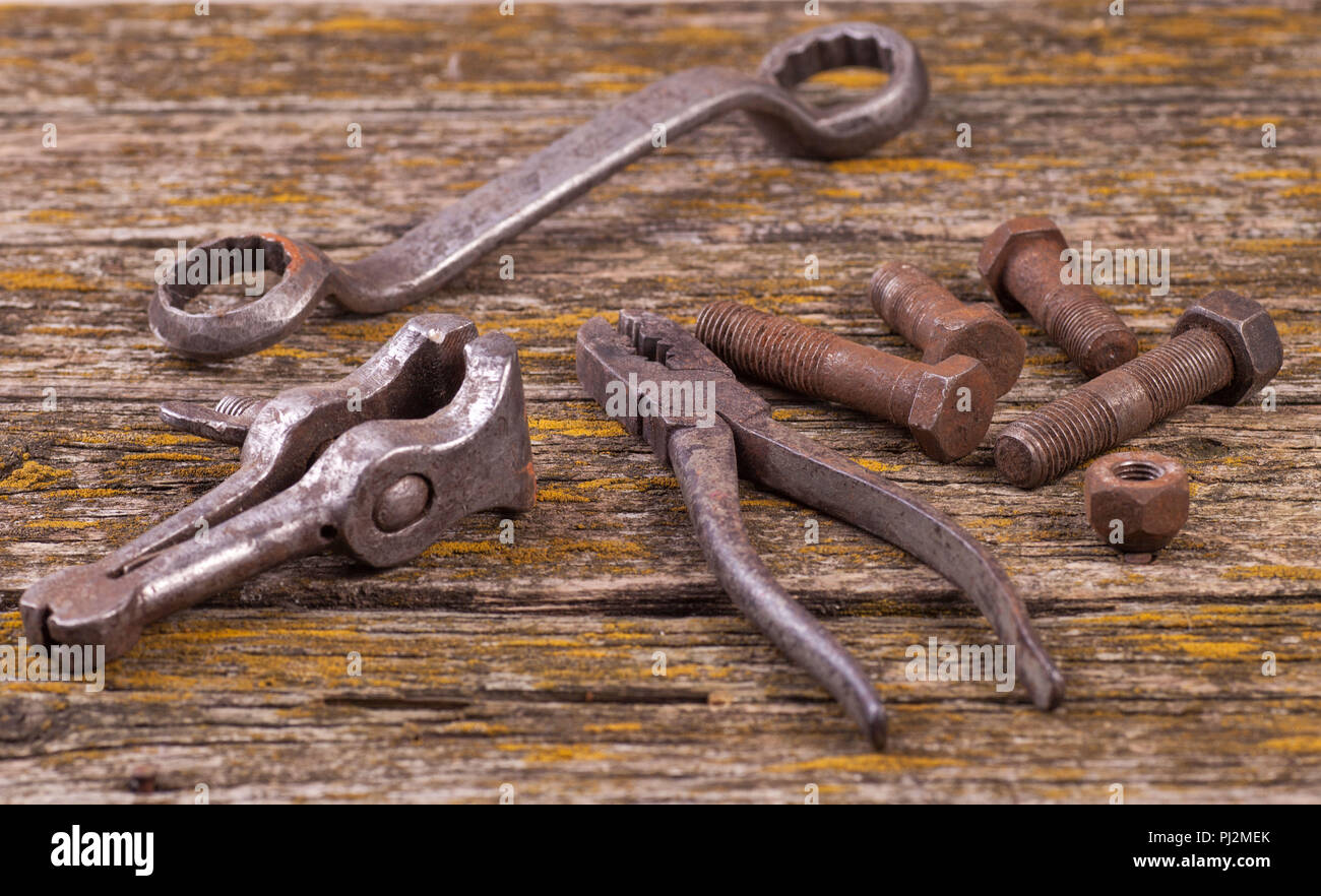 Wood nuts bolts прохождение. болт. 3 nuts in search of a bolt. Foundation bolt. 3ds max bolt.