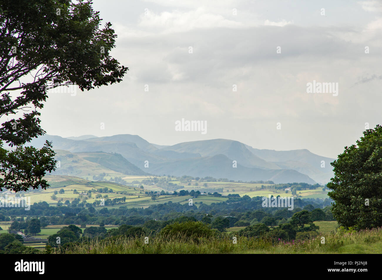 Lake District’s rolling hills and in the background are Robinson and Newlands Valley framed by trees on a hazy summer’s day Stock Photo