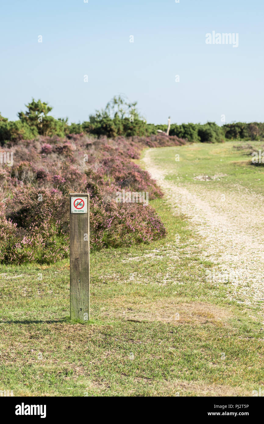 No cycling fingerpost in front of heather shrubs next to a gravel track in the New Forest, UK. Stock Photo