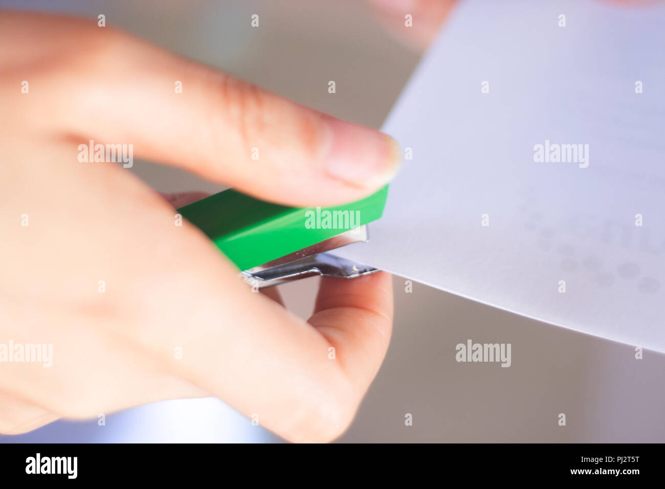 Office staple gun stapling paper in hand of young lady Stock Photo Alamy