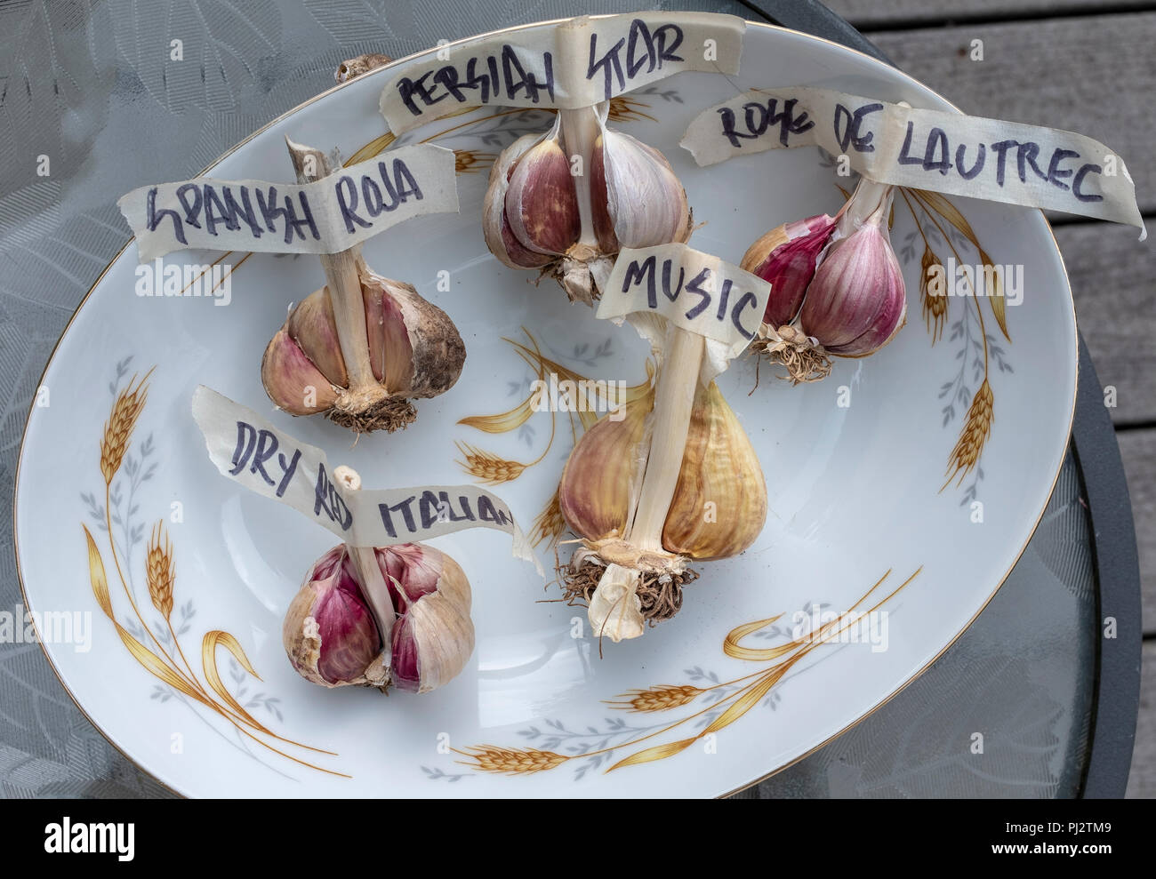 bowl of 5 different garlic bulbs Stock Photo