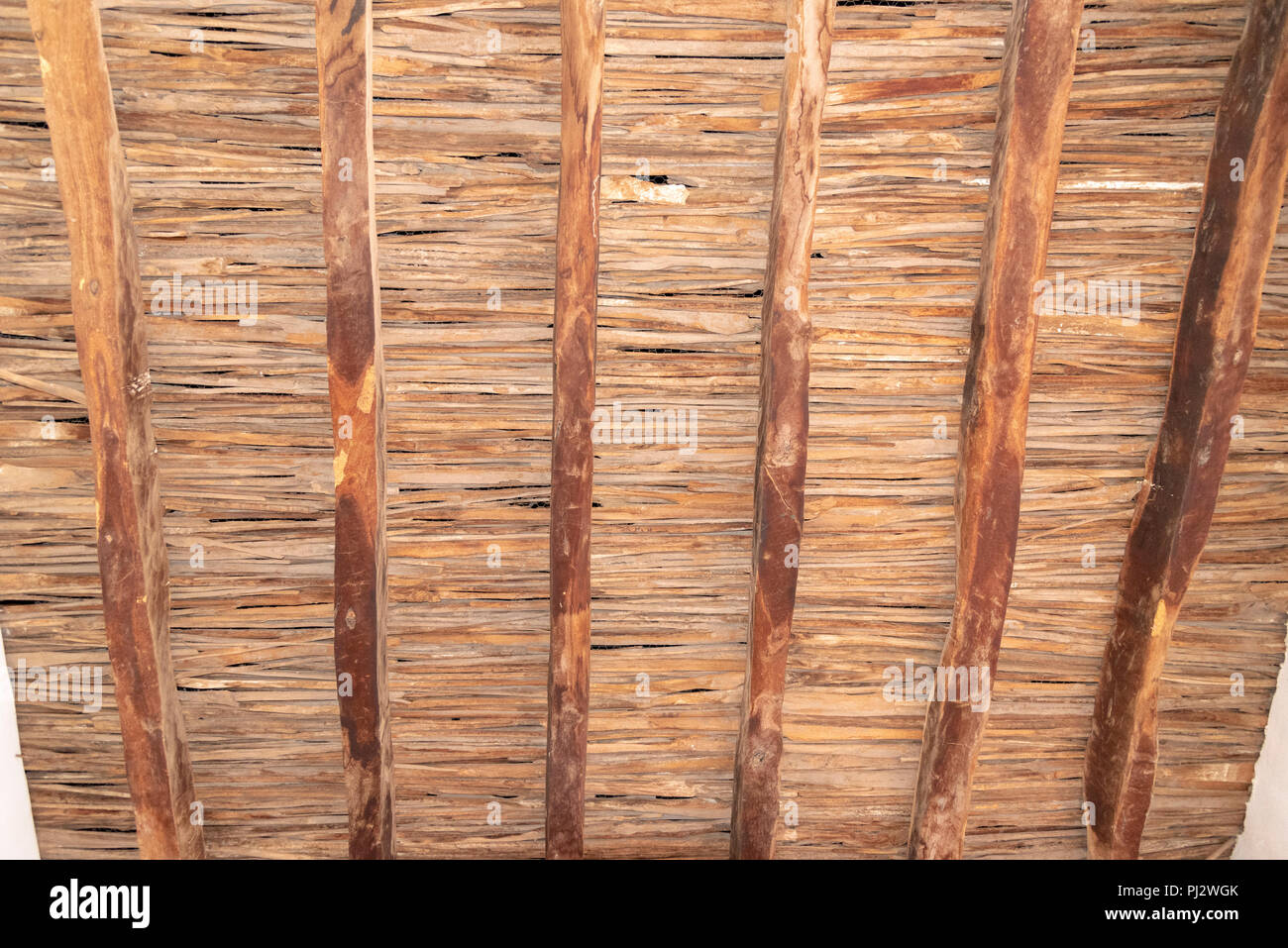 Underside of Thatch roof showing beams and thatching Stock Photo Alamy