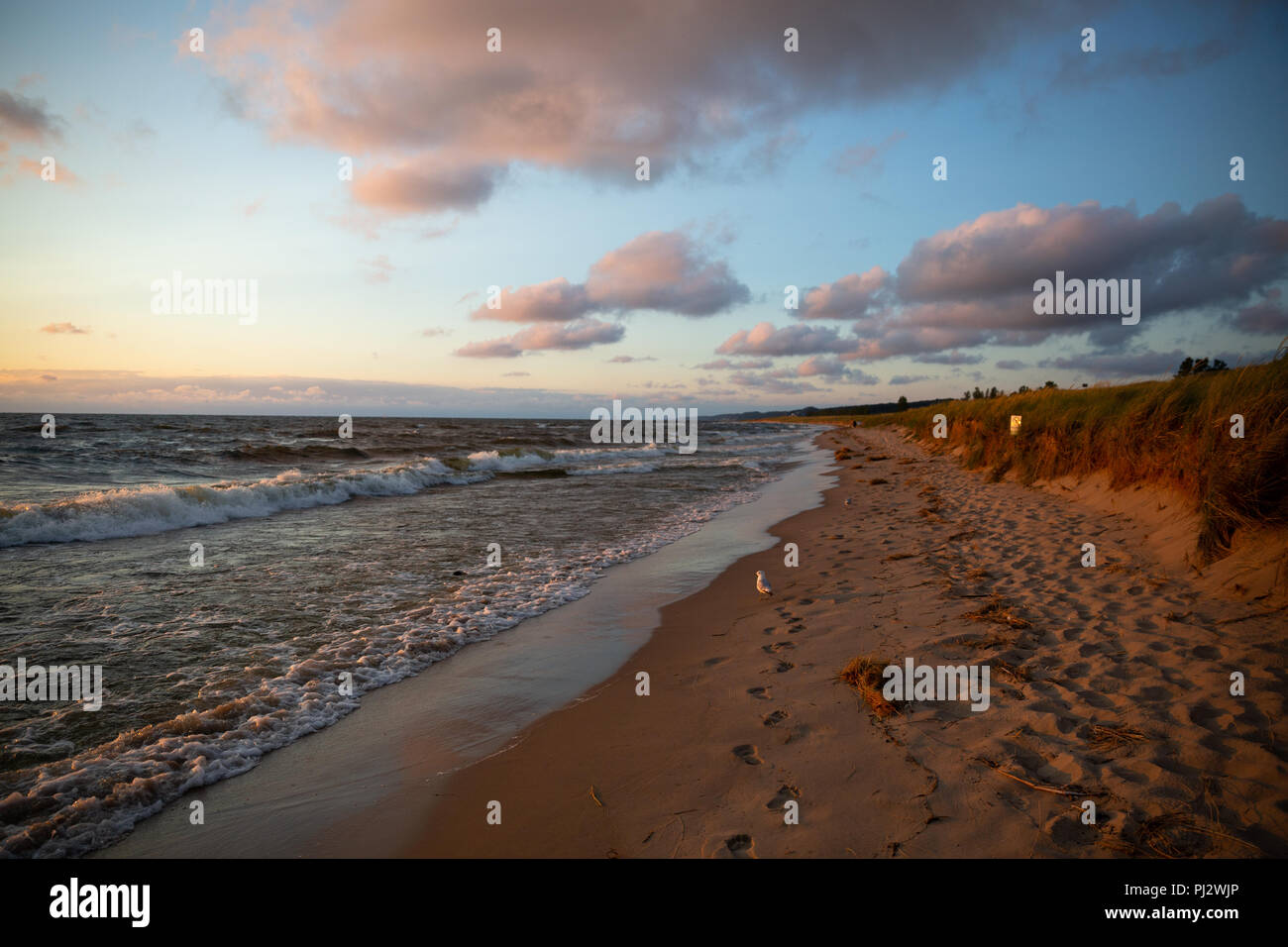 Saugatuck oval beach hires stock photography and images Alamy