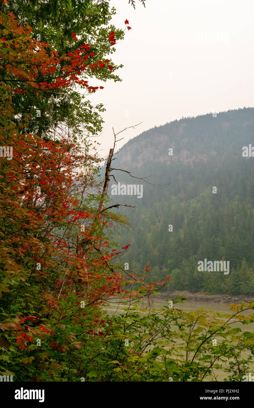 Autumn Colors In British Columbia, Canada Stock Photo
