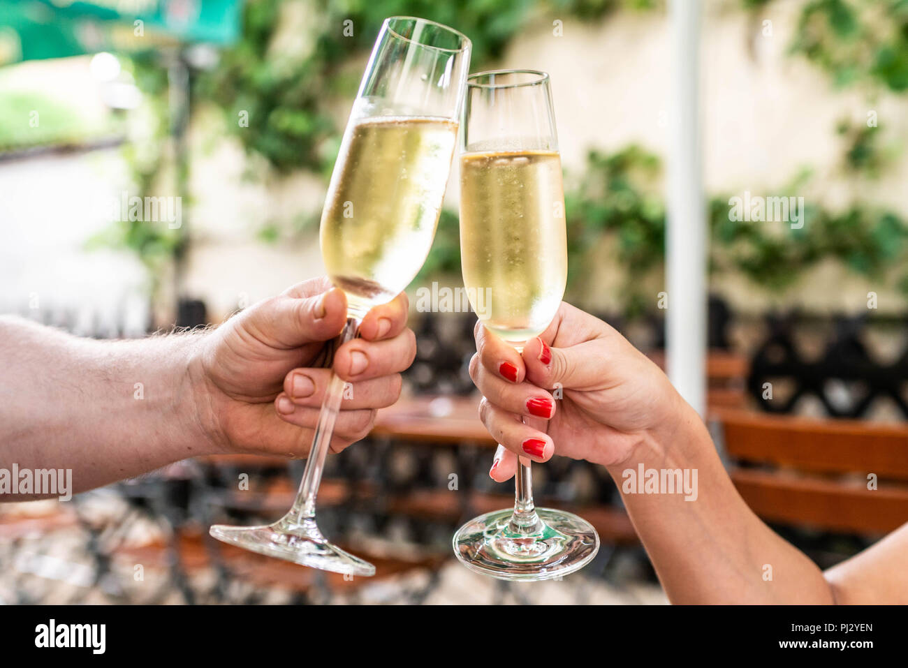 Celebration. People holding glasses of champagne making a toast Stock ...