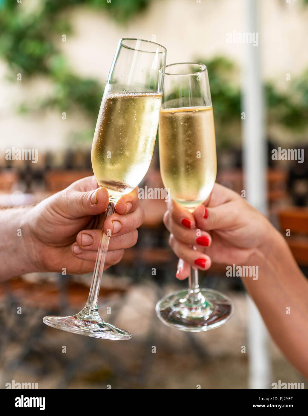 Celebration. People holding glasses of champagne making a toast Stock ...