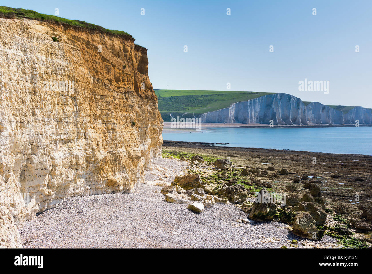 Chalk cliffs walk from Seaford to Cuckmere Haven beach, East Sussex, England, part of Seven Sisters National park, selective focus Stock Photo