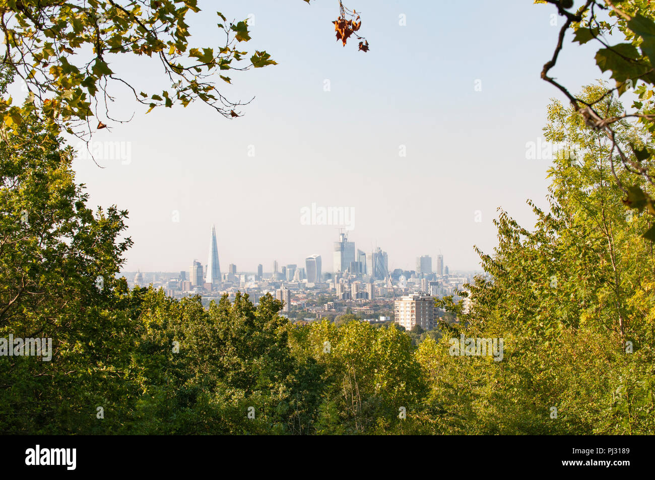 View of City of London skyline from One Tree Hill, Honor Oak, Southwark, London, United Kingdom Stock Photo