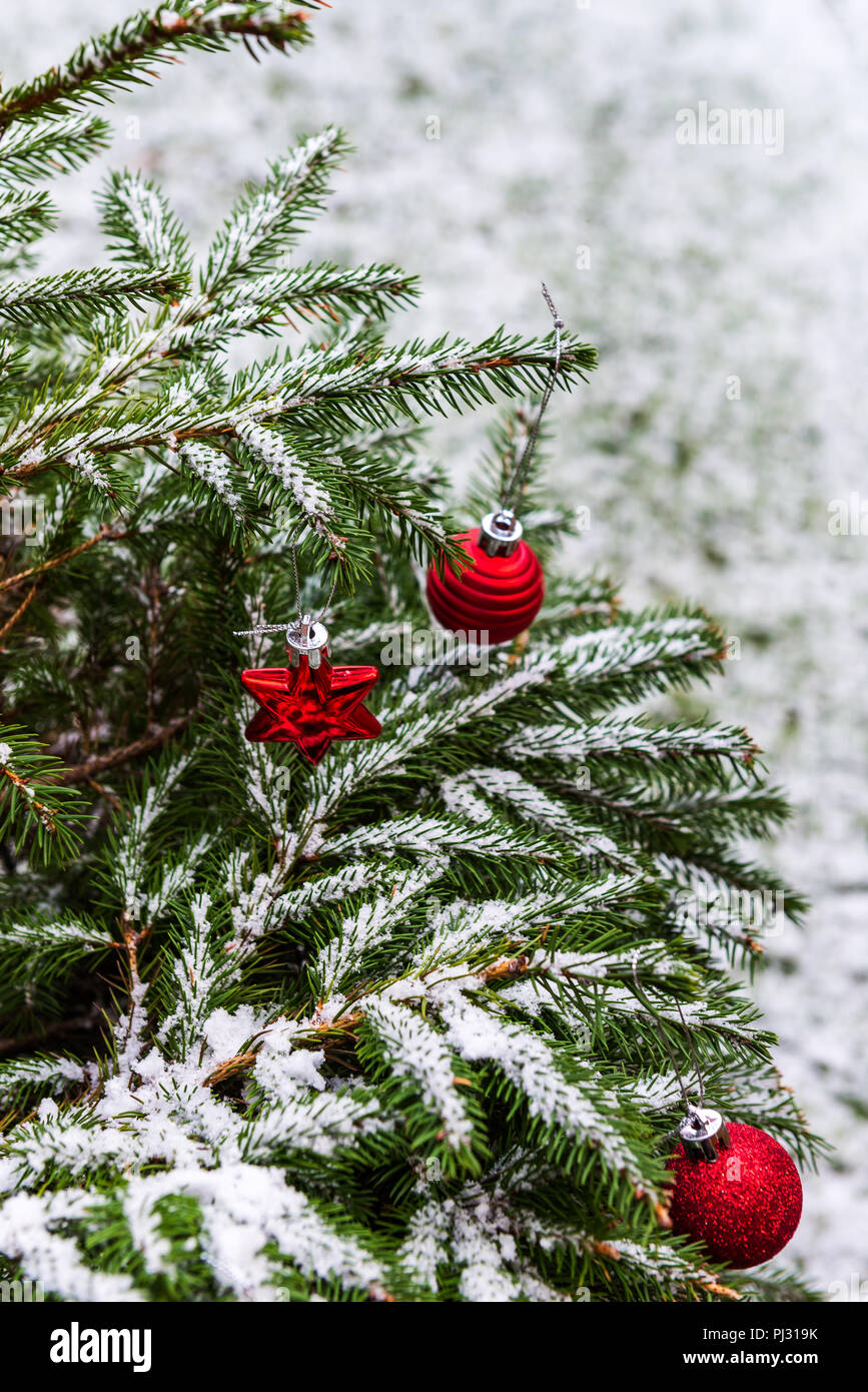 76 Wallpaper Christmas Nature Images - MyWeb
