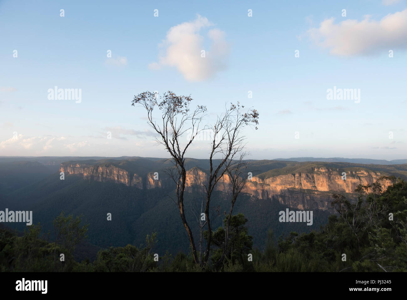 Grose Valley, Blue Mountains, New South Wales Australia Stock Photo