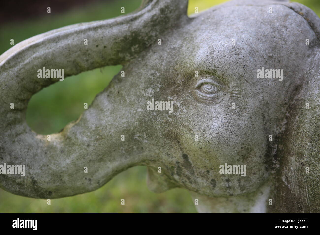 stone elephant statue Stock Photo Alamy