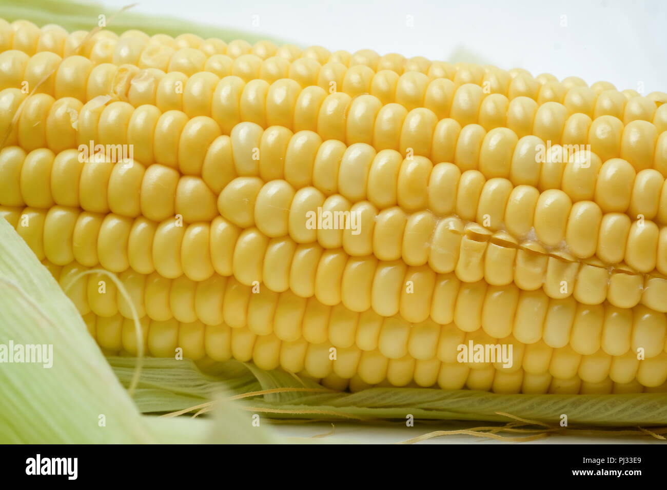Pale Corn Maize cob pale hi-res stock photography and images - Alamy