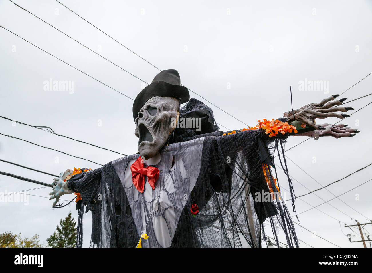 Halloween decorations in Laurentides, Quebec, Canada Stock Photo Alamy