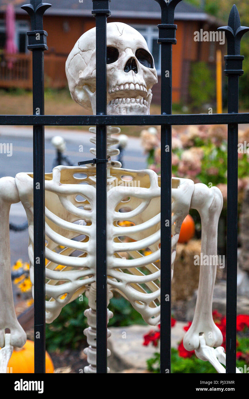 Halloween Decorations In Laurentides Quebec Canada Stock Photo
