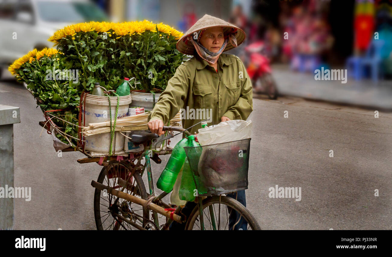 Asian lady peddling flowers with her bicyle on the steets of Hanoi, Vietnam Stock Photo