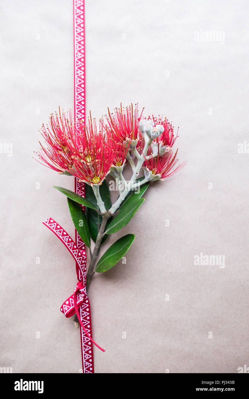 Christmas gift wrapped in plain paper with ribbon and Pohutukawa flower - known as the New Zealand xmas tree Stock Photo