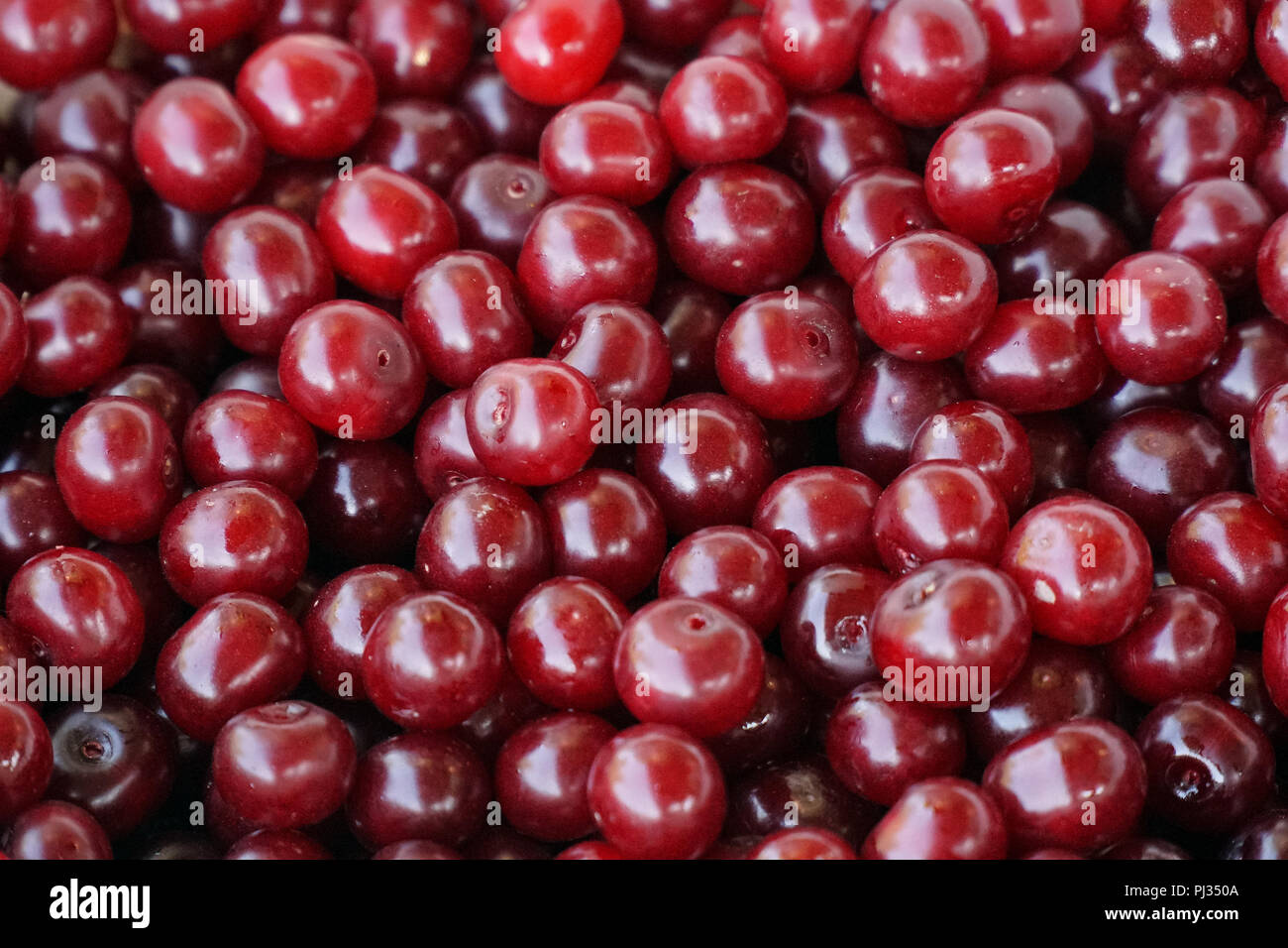 Many ripe cherry berries Stock Photo Alamy