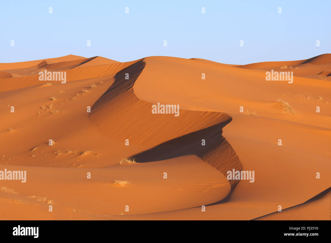 Sand dunes in the sahara desert at sunrise hi-res stock photography and ...