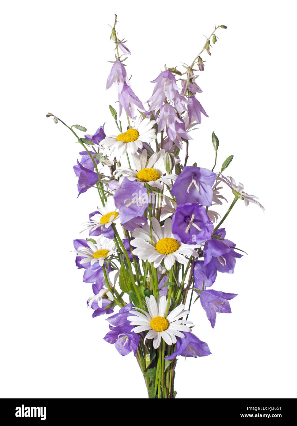 Bouquet of wildflowers isolated on white background Stock Photo - Alamy