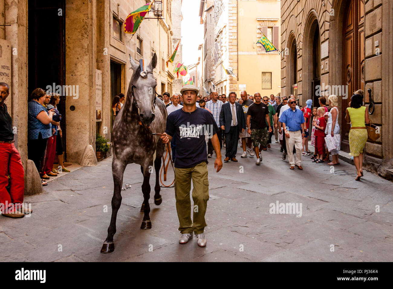 Members Of The Lupa Contrada Escort Their Horse To The Piazza Del Campo For  One Of The Six Trial Races, Palio di Siena, Siena, Italy Stock Photo - Alamy