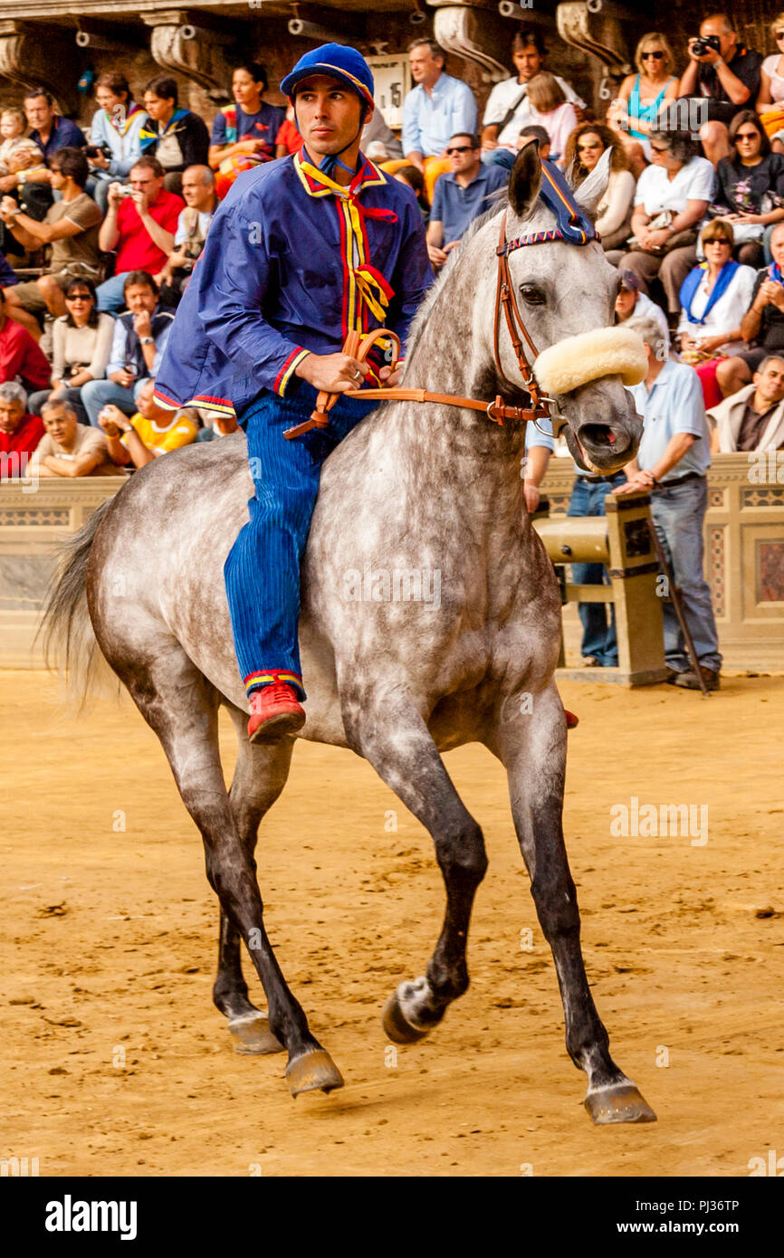 A Jockey Riding For The Nicchio (Shell) Contrada Takes Part In A Trial ...