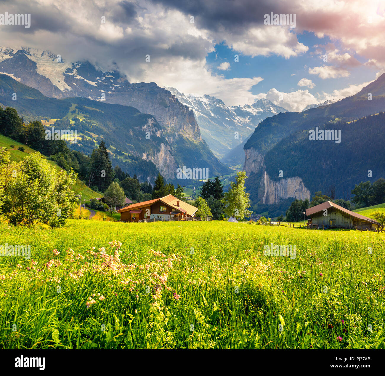 Colorful summer view of Wengen village. Beautiful outdoor scene in Swiss Alps, Bernese Oberland