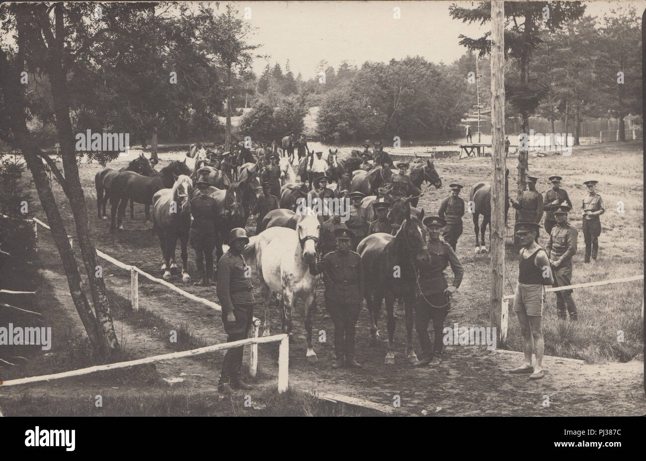 Vintage Photograph of German Soldiers and Horses Stock Photo