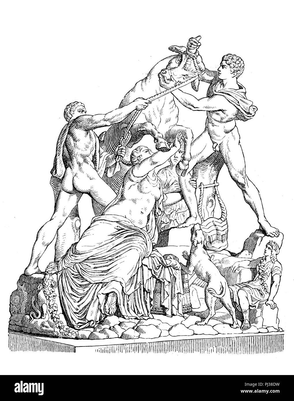 The Farnese Bull, Toro Farnese, formerly in the Farnese collection in Rome, is a massive Roman elaborated copy of a Hellenistic sculpture, digital improved reproduction of an original from the year 1895 Stock Photo