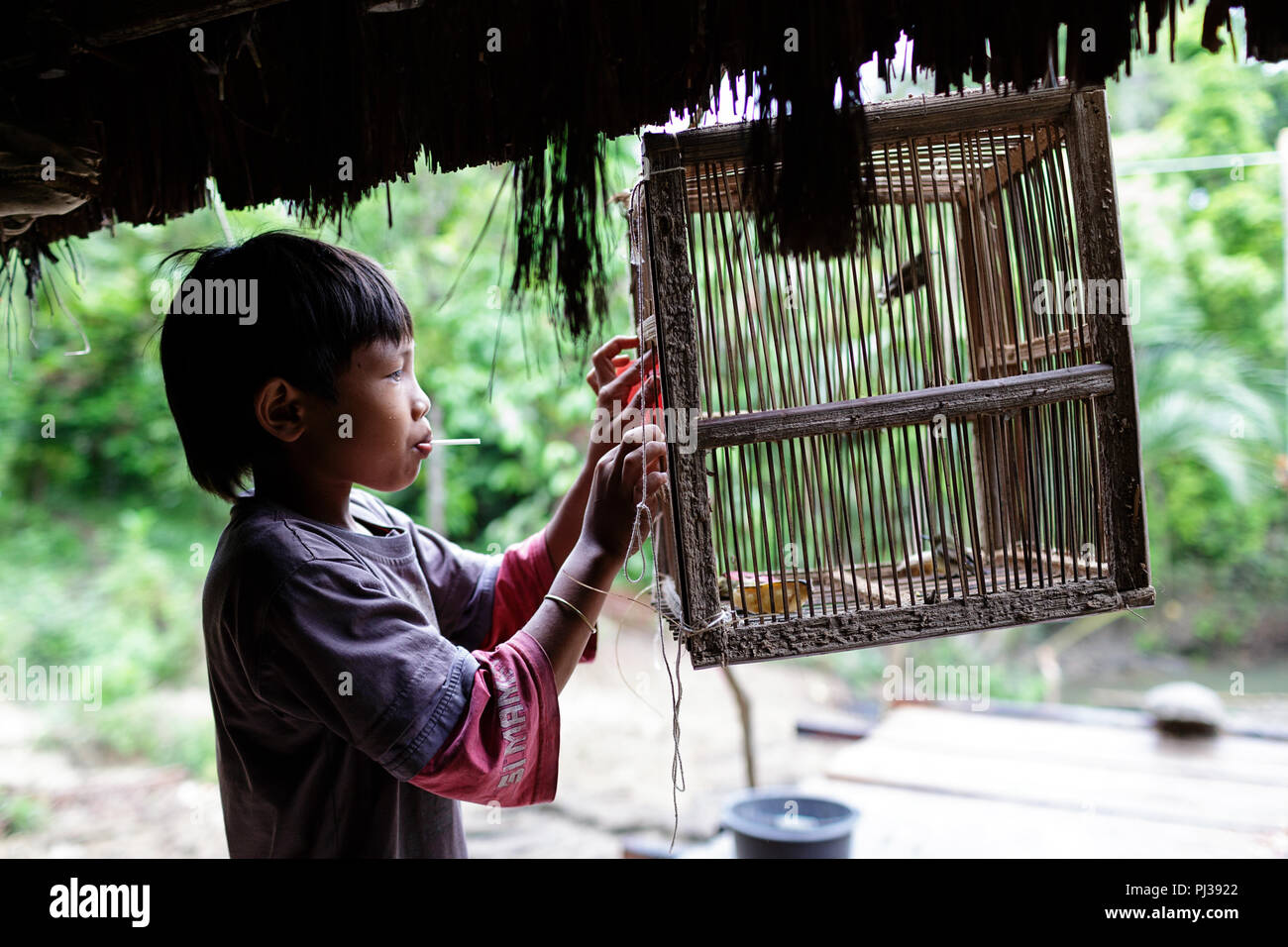 Child with a bird cage, Mentawai, Siberut, Sumatra, Indonesia Stock Photo