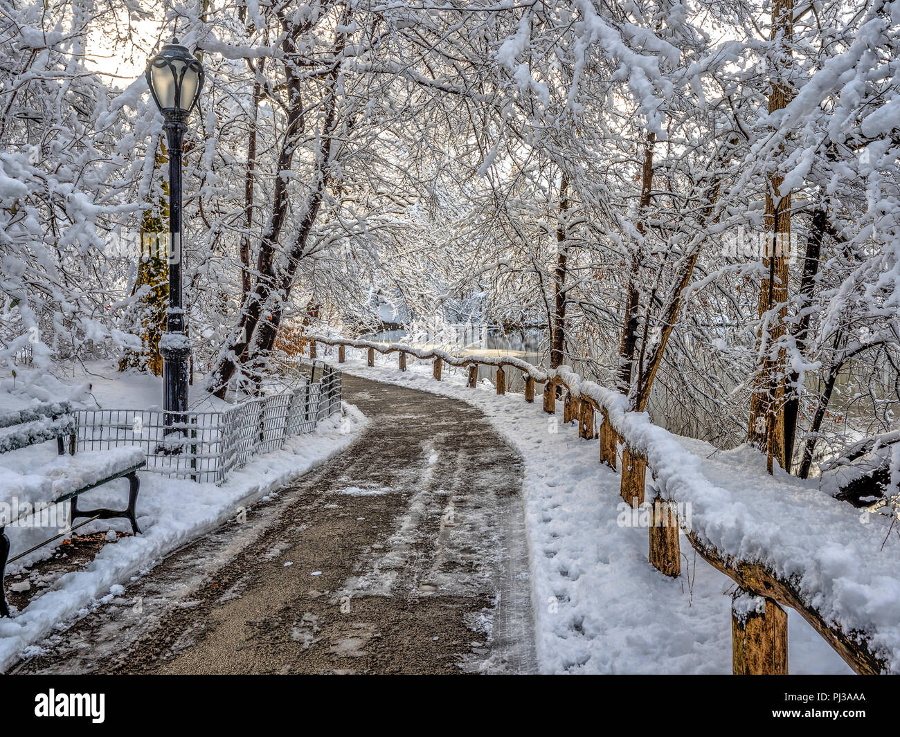 Central Park, New York City after winter snow storm Stock Photo - Alamy
