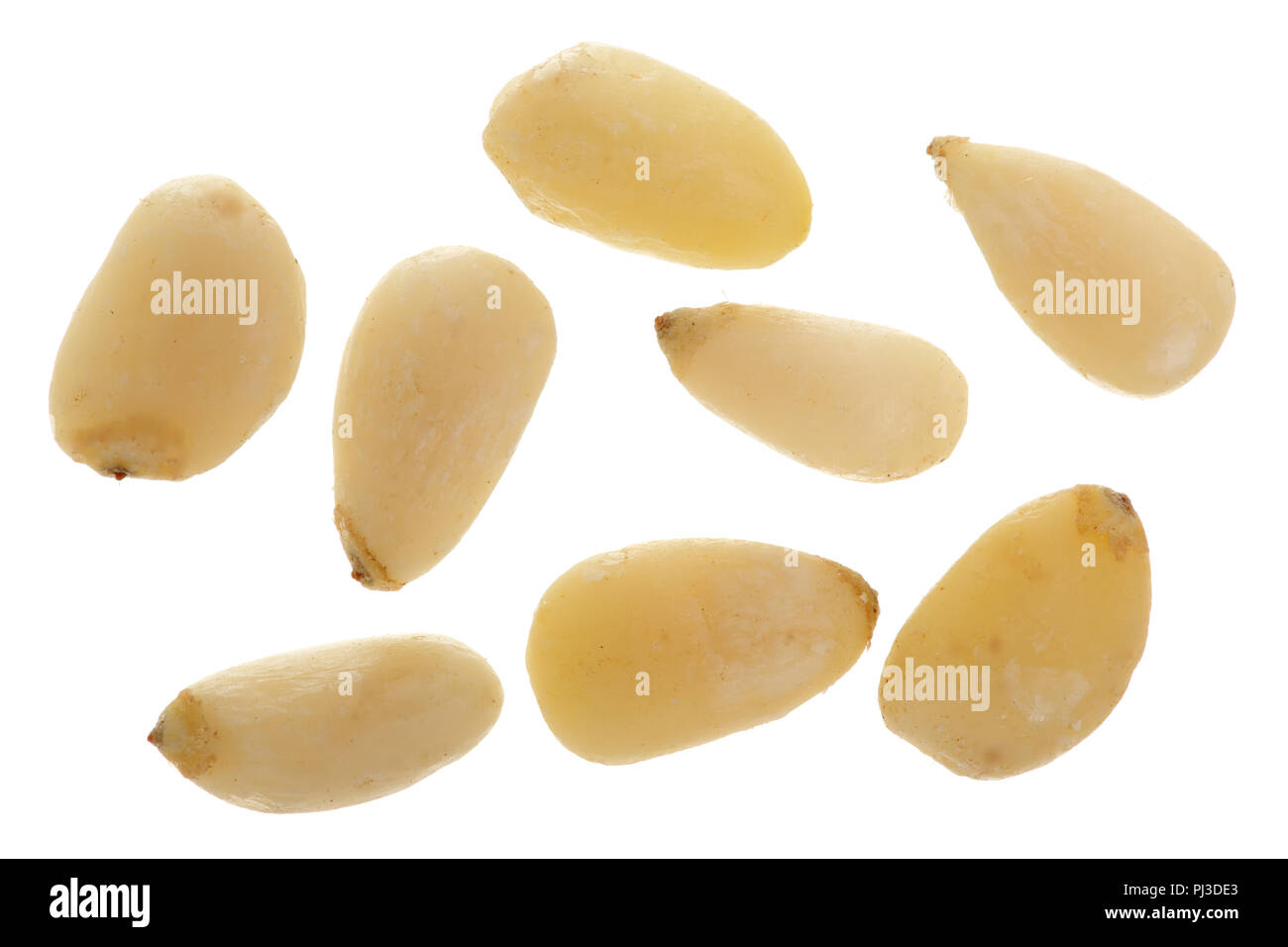 Shelled cedar pine nuts isolated on white background. top view Stock