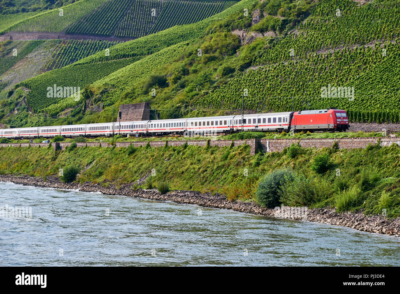 Passenger train pulled by DB 101 class electric locomotive along the Rhine river towards Spay, opposite Osterpai, with vineyards in the background Stock Photo