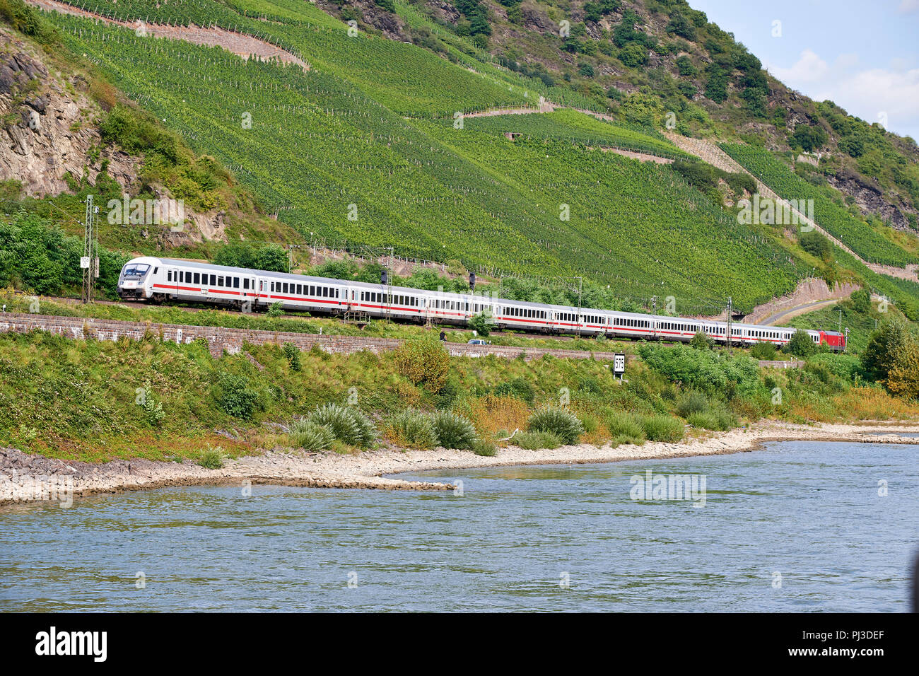 Passenger train pulled by DB 101 class electric locomotive along the Rhine river towards Spay, opposite Osterpai, with vineyards in the background Stock Photo