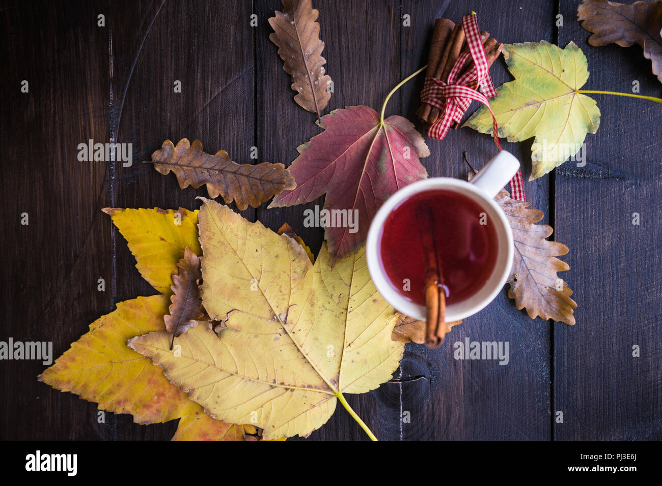 Cup of mulled tea with cinnamon stick and anise star on rustic table with brigt yellow leaves Stock Photo