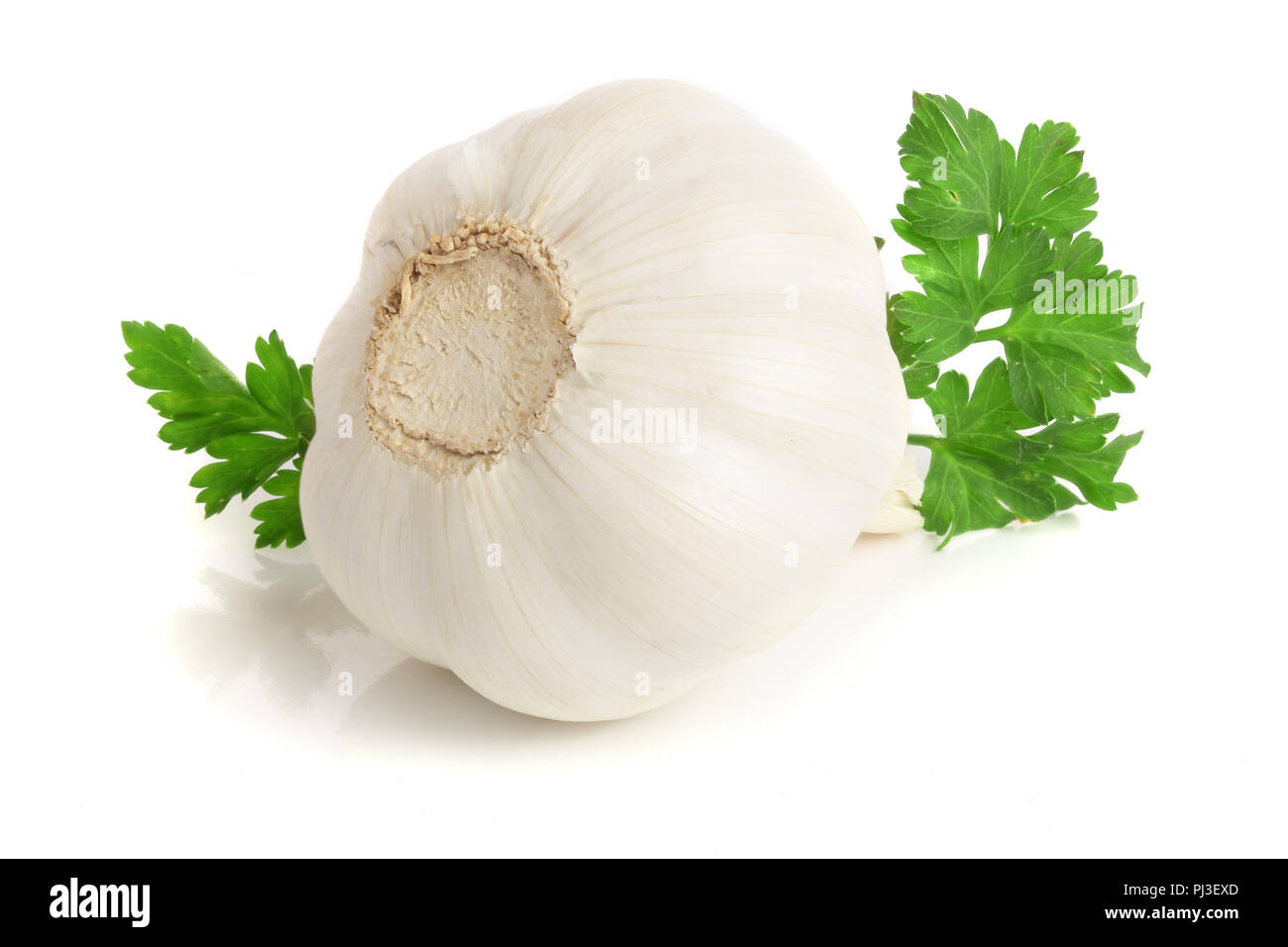 garlic with parsley leaf isolated on white background Stock Photo - Alamy