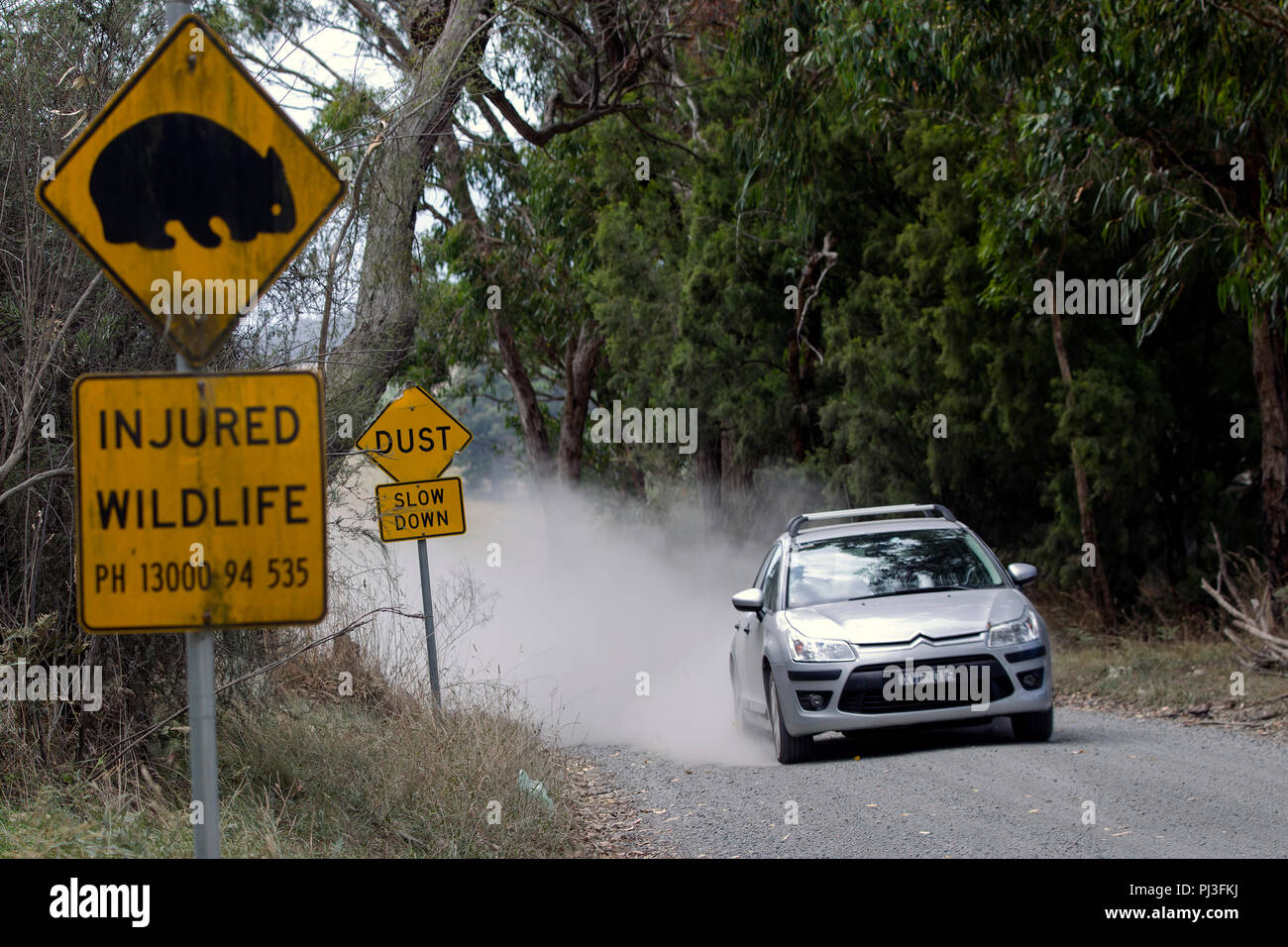 Beware of wombats, dust, rural road signs, Victoria, Australia Stock Photo