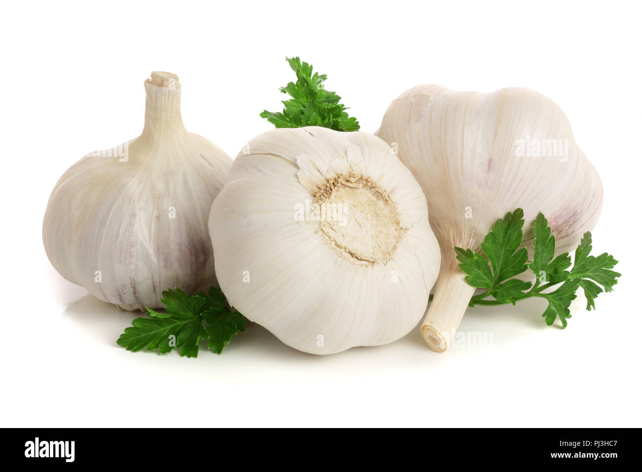 garlic with parsley leaf isolated on white background Stock Photo - Alamy
