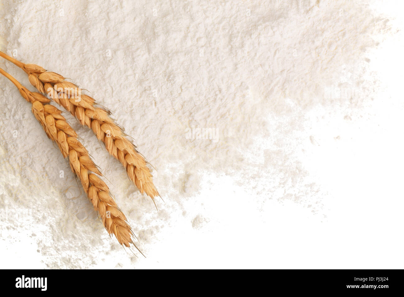 ears of wheat and pile of flour isolated on white background with copy ...