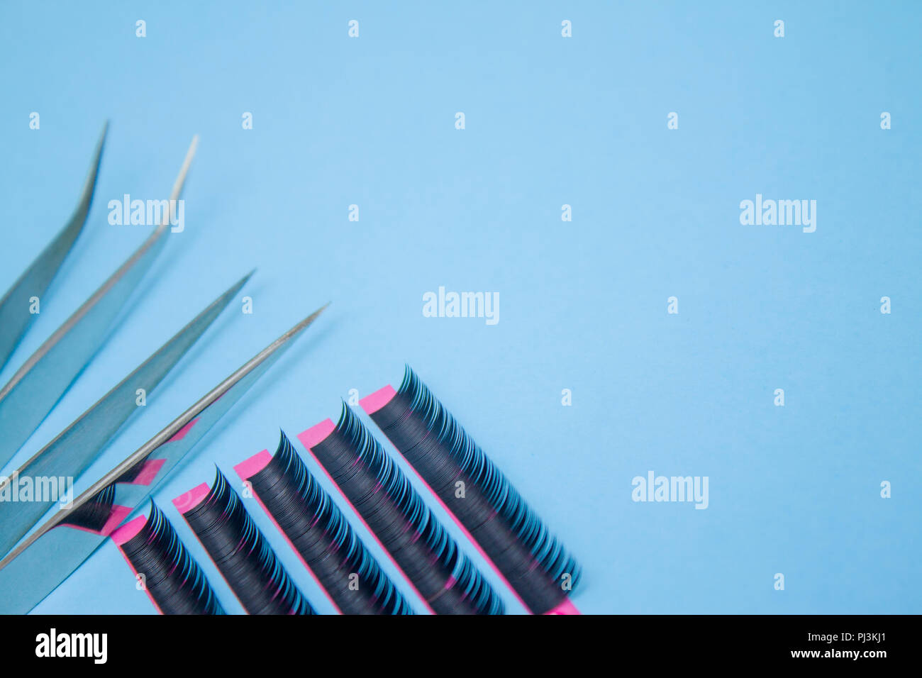Download Beauty And Fashion Concept Tools For Eyelash Extension Procedure Two Tweezers With False Lashes On Blue Background Copyspace Mockup Stock Photo Alamy