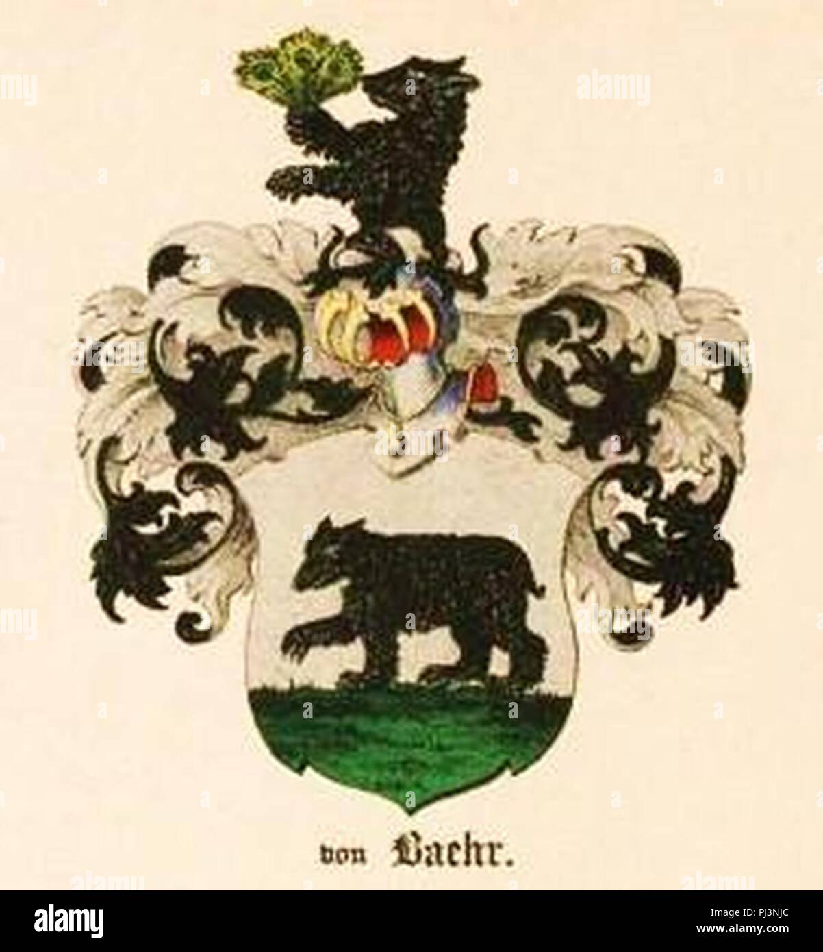 Baehr (Bähr) zu Livland Wappen. Stock Photo
