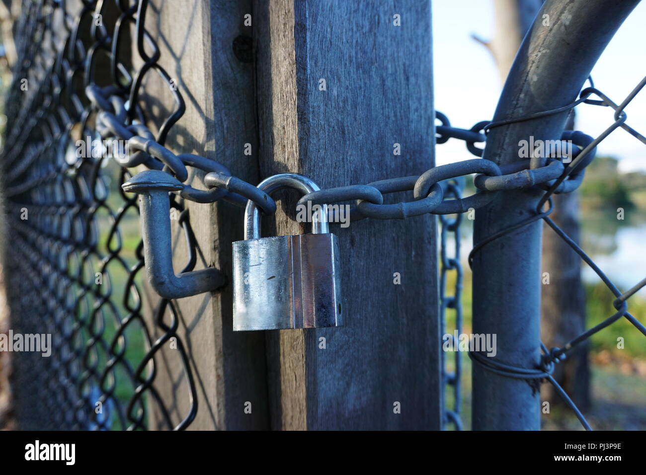 Padlock and chain around a gate Stock Photo Alamy