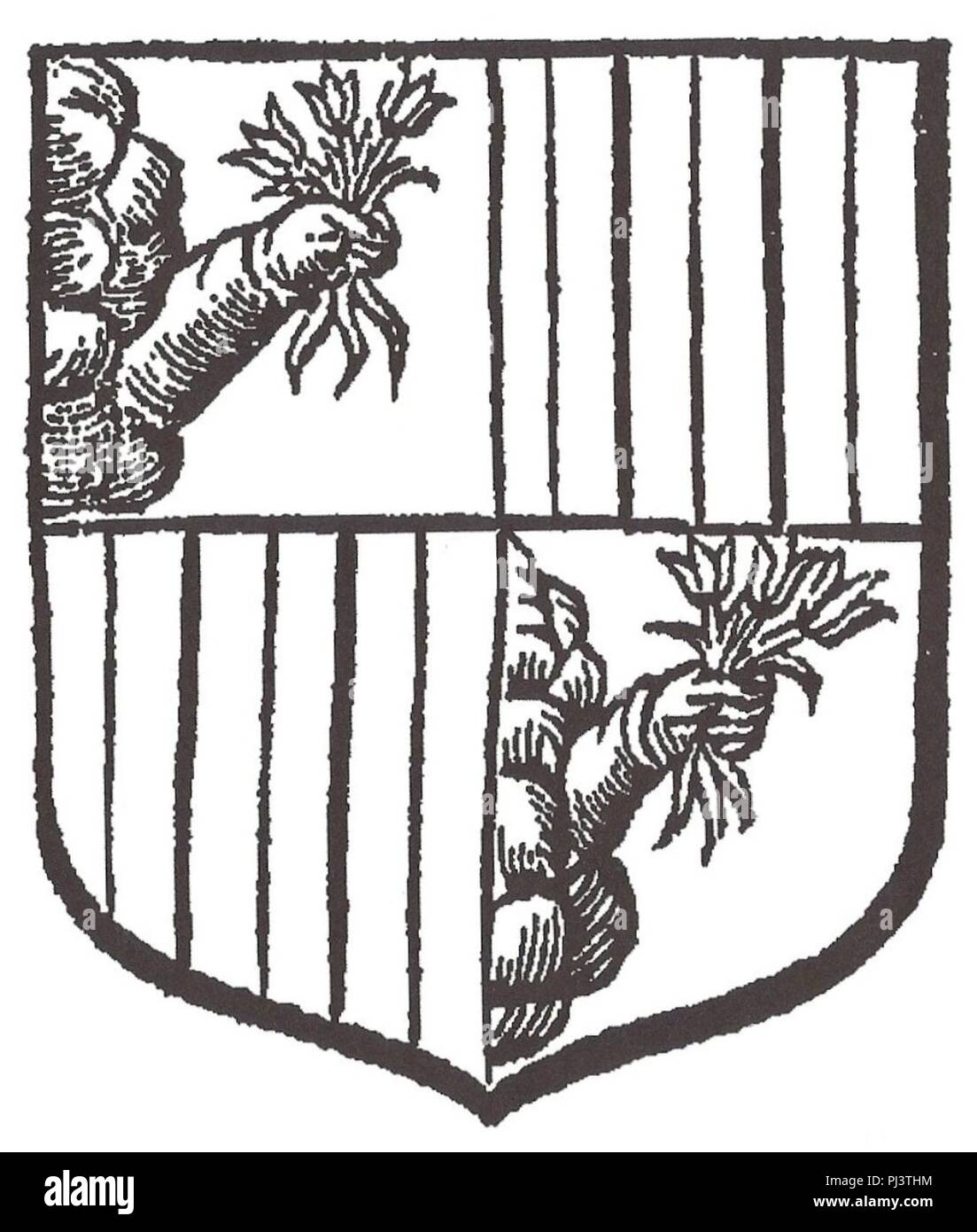 Blason Babou de La Bourdaisière Stock Photo Alamy