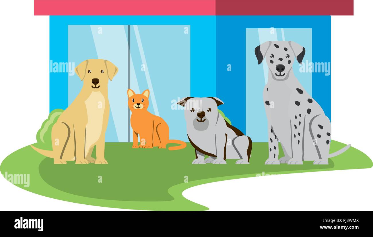 cute dogs and pet store icon over white background, vector illustration ...