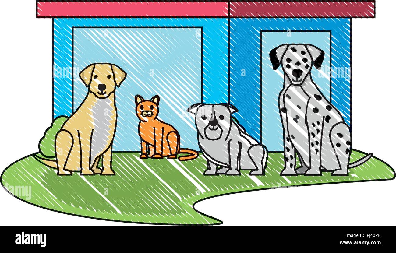 cute dogs and pet store icon over white background, vector illustration ...