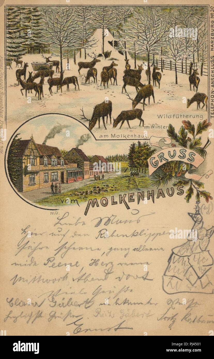 Bad Harzburg, Niedersachsen - Wildfütterung im Winter am Molkenhaus Stock Photo