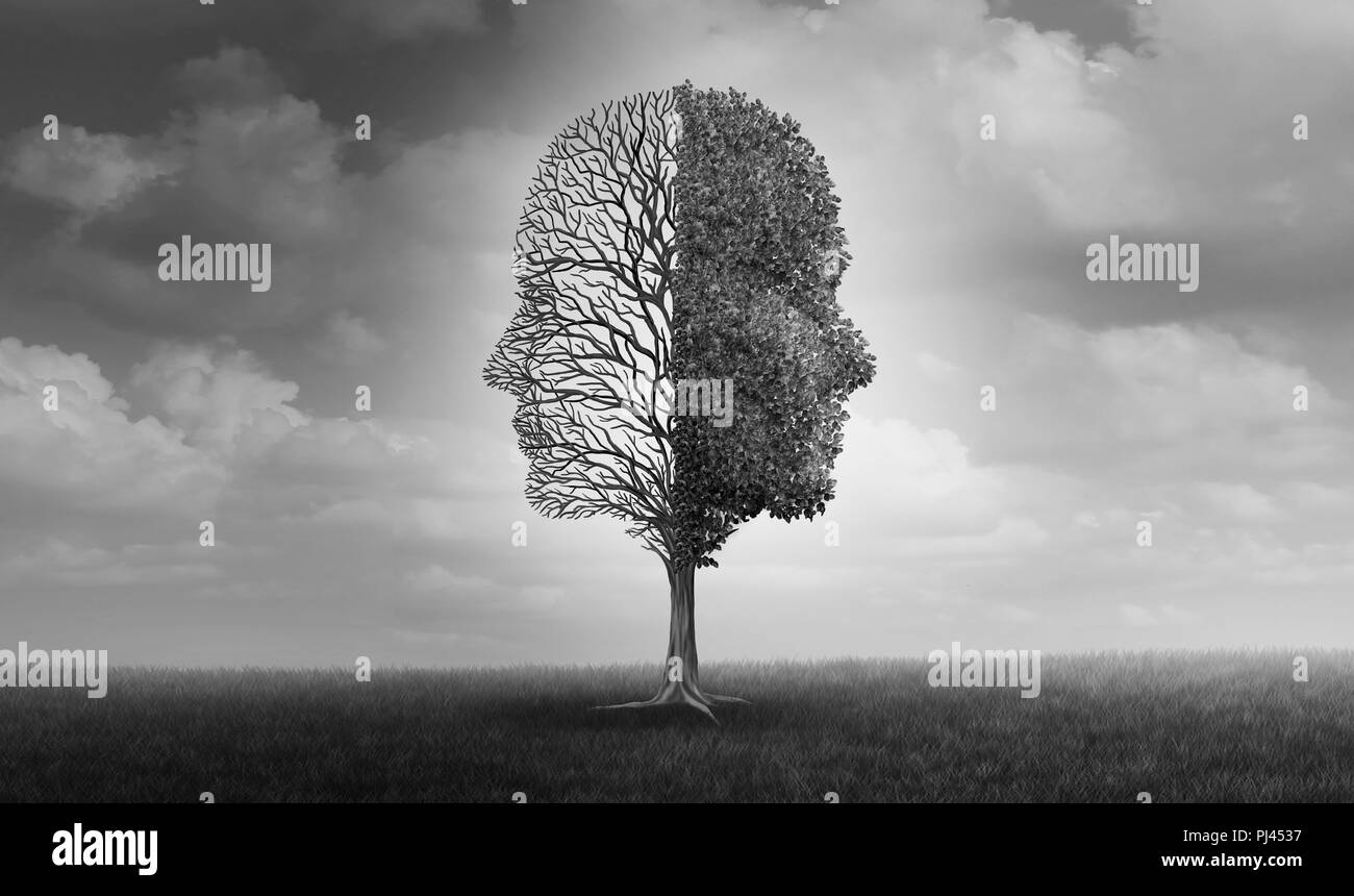 Emotional disorder and human emotion or mood problem as a tree shaped as two human faces with one half empty branches and the opposite side full. Stock Photo